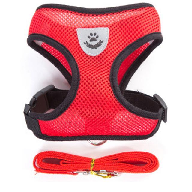 Cat Harness and Leash 7 Colours! Pet Collars &amp; Harnesses Best Pet Store Red Small 