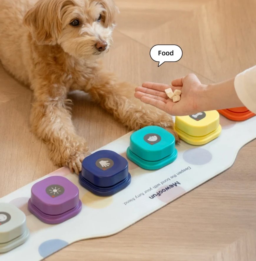 How to Teach Your Dog to Talk With Buttons