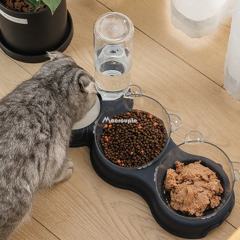 Best pet food store online