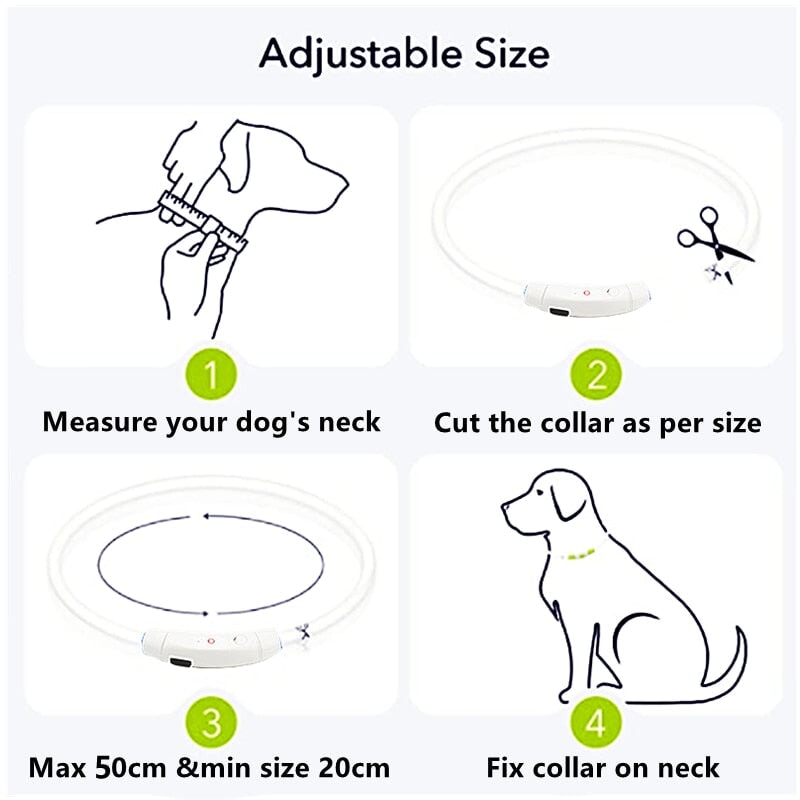Adjustable LED Pet Collar Pet Collars & Harnesses Best Pet Store 