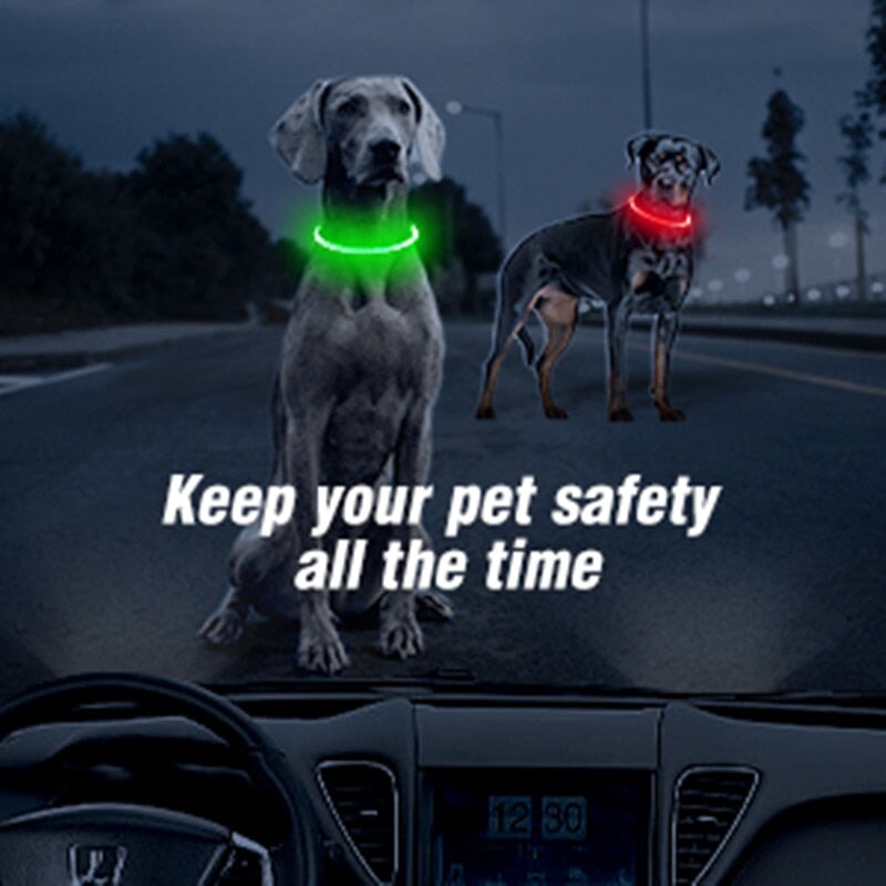 Night time dog collars outlet