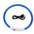 Adjustable LED Pet Collar Pet Collars & Harnesses Best Pet Store Blue 