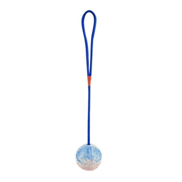 Bite Resistant Rubber Dog Ball on a Rope Dog Toys Best Pet Store Blue 