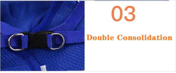 Cat Harness and Leash 7 Colours! Pet Collars & Harnesses Best Pet Store 
