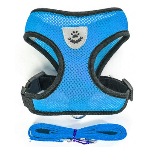 Cat Harness and Leash 7 Colours! Pet Collars & Harnesses Best Pet Store Blue Small 