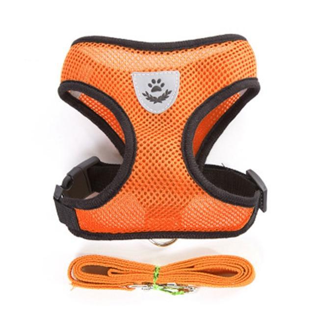 Cat Harness and Leash 7 Colours! Pet Collars & Harnesses Best Pet Store Orange Small 