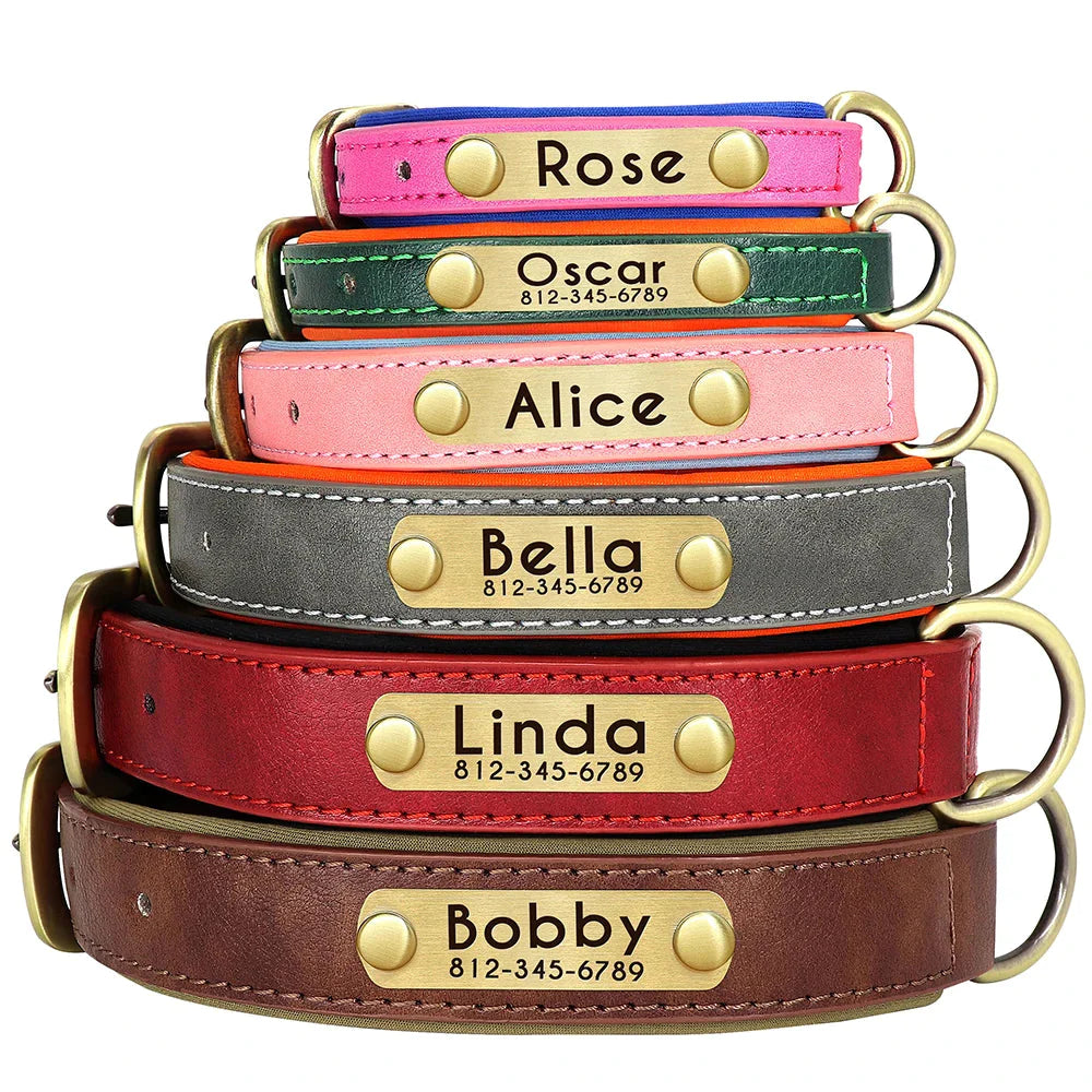 Customised Leather ID Nameplate Dog Collar Pet Collars &amp; Harnesses Best Pet Store 