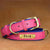 Customised Leather ID Nameplate Dog Collar Pet Collars & Harnesses Best Pet Store Bright Pink X Small 