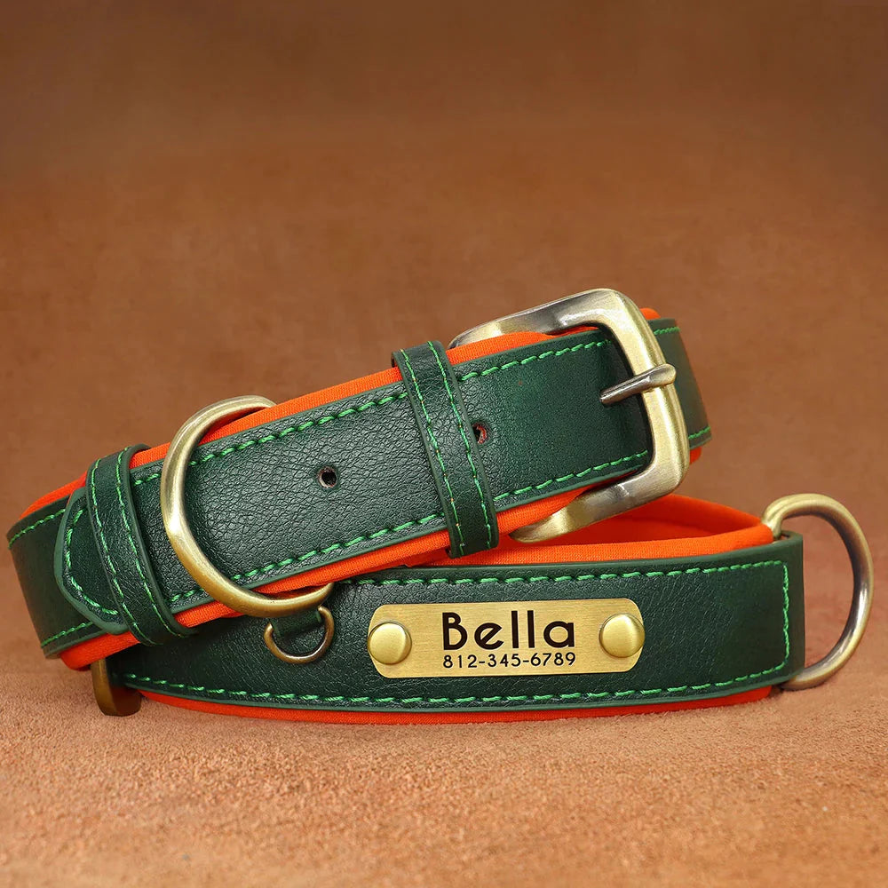 Customised Leather ID Nameplate Dog Collar Pet Collars & Harnesses Best Pet Store Green X Small 