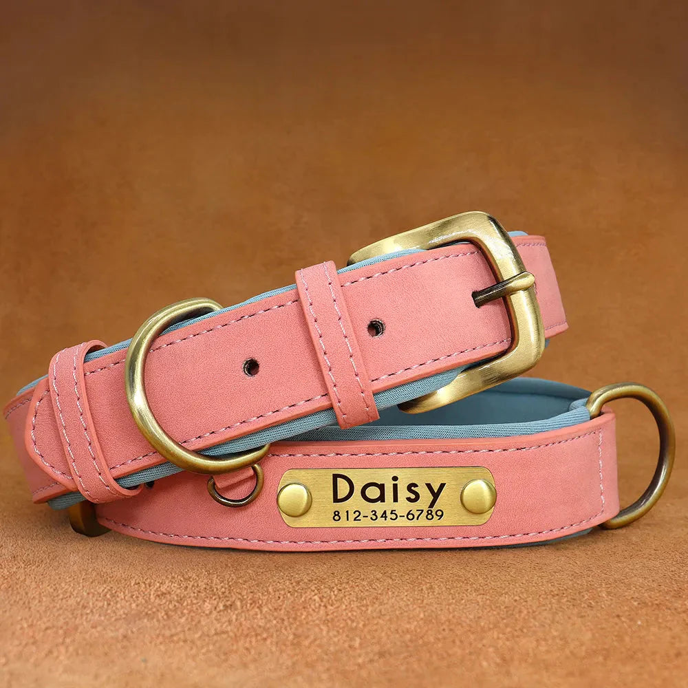 Extra small personalized dog collars hot sale
