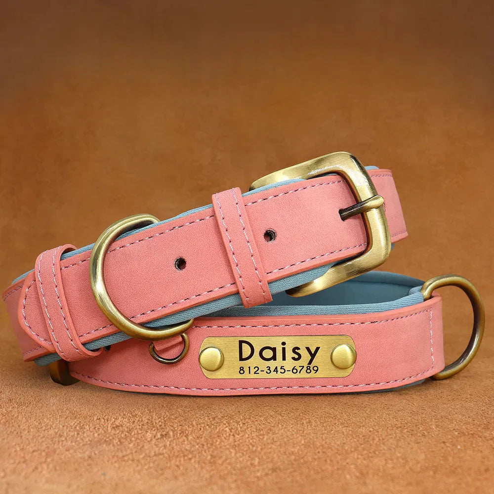 Customised Leather ID Nameplate Dog Collar Pet Collars & Harnesses Best Pet Store Pink X Small 