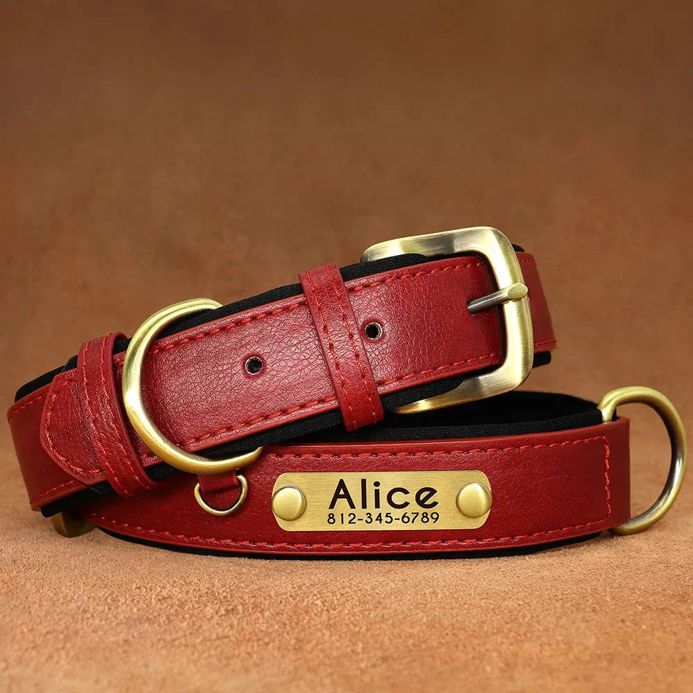 Customised Leather ID Nameplate Dog Collar Best Pet Store