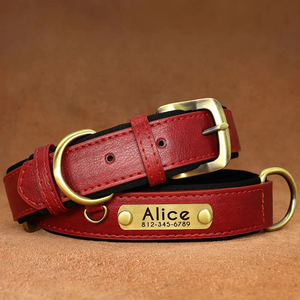 Customised Leather ID Nameplate Dog Collar Pet Collars & Harnesses Best Pet Store Red X Small 