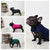Dog Anxiety Busting Jacket Dog Apparel Best Pet Store 