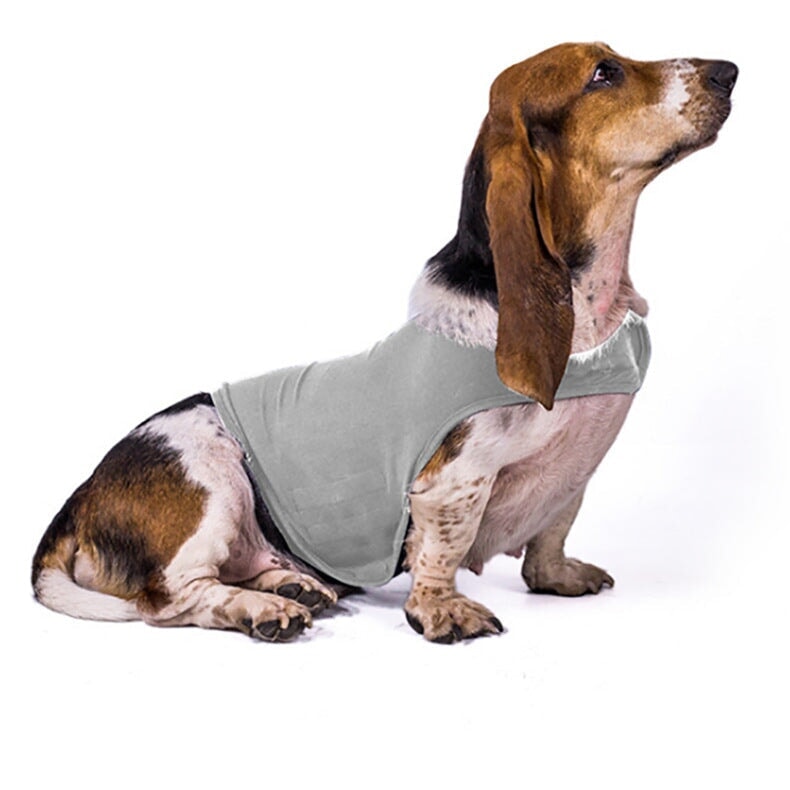 Dog Anxiety Busting Jacket Dog Apparel Best Pet Store Light Grey X Small 4.5 - 9Kg 