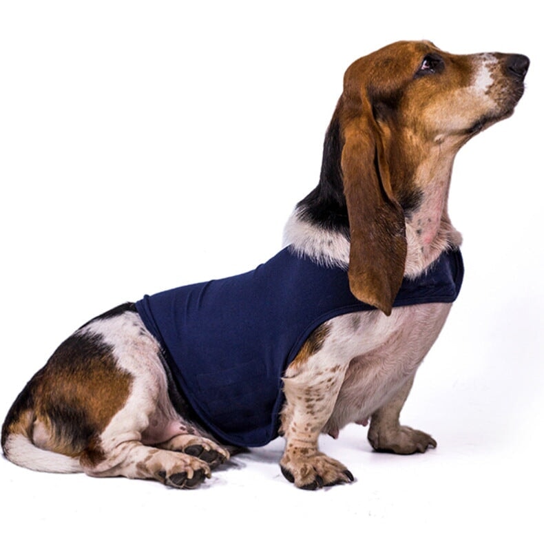Dog Anxiety Busting Jacket Dog Apparel Best Pet Store Navy Blue X Small 4.5 - 9Kg 