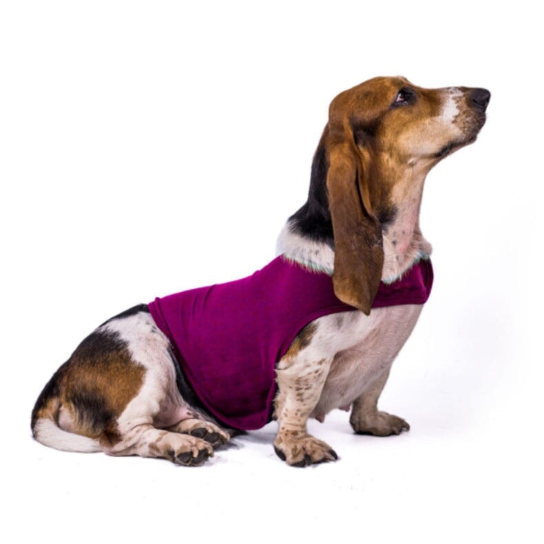 Dog Anxiety Busting Jacket Dog Apparel Best Pet Store Pink X Small 4.5 - 9Kg 