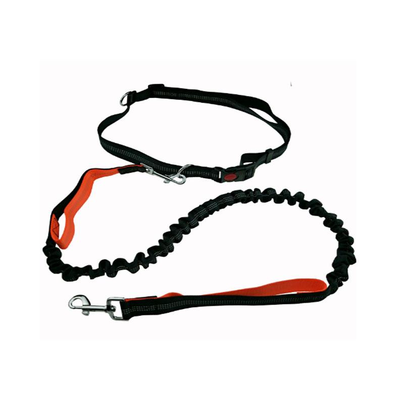 Handsfree Running Bungee Dog Leash Pet Leashes Best Pet Store 