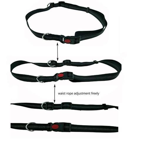 Handsfree Running Bungee Dog Leash Pet Leashes Best Pet Store 