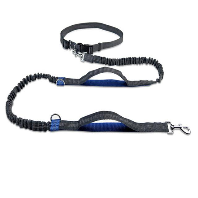 Handsfree Running Bungee Dog Leash Best Pet Store