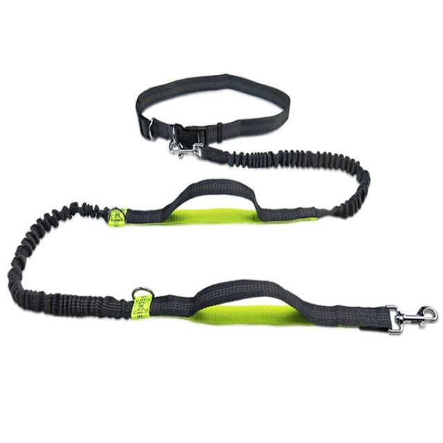 Handsfree Running Bungee Dog Leash Pet Leashes Best Pet Store Yellow 