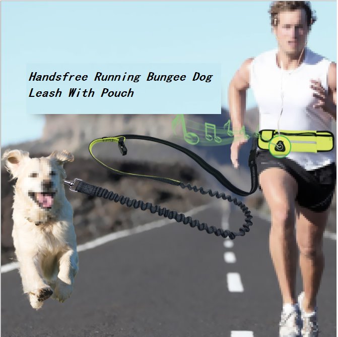 Handsfree Running Bungee Dog Leash With Pouch Pet Leashes Best Pet Store 