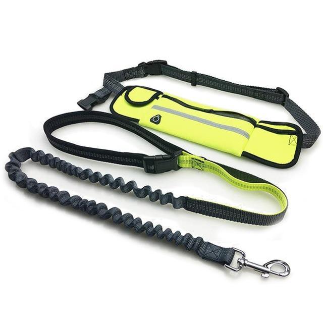 Handsfree Running Bungee Dog Leash With Pouch Pet Leashes Best Pet Store Yellow 