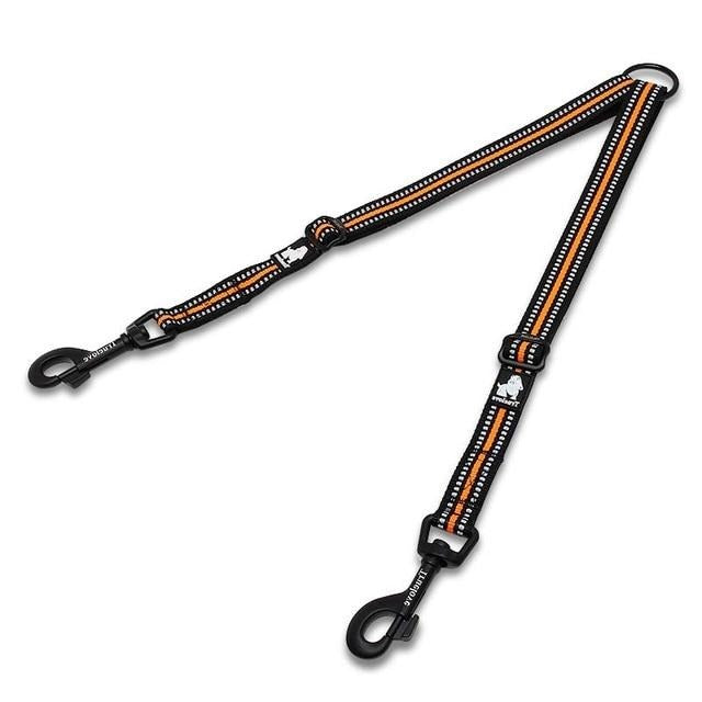 Best tandem dog clearance leash