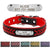Leather Pet Collar With Personalised Nameplate Pet Collars & Harnesses Best Pet Store Red X Small 