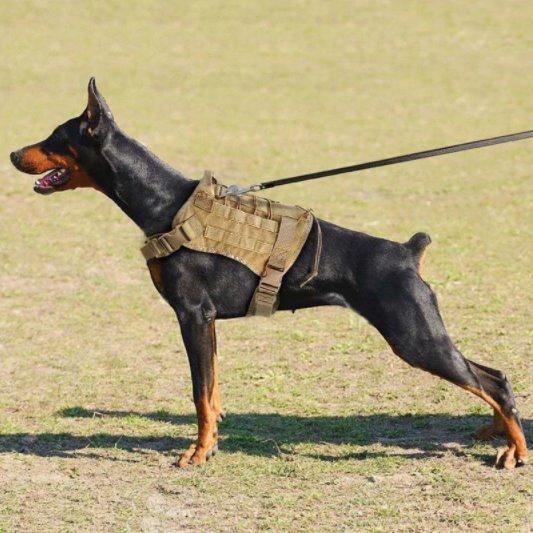Military Style Dog Harness Pet Collars & Harnesses Best Pet Store 