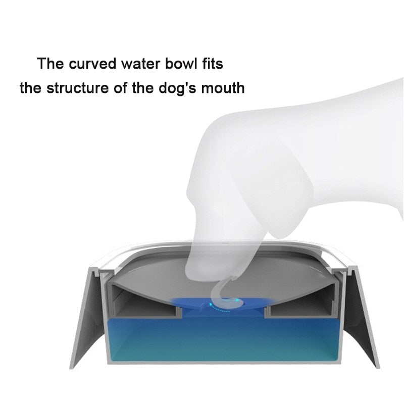 Pet Floating Water Bowl 1.5 Litre Best Pet Store