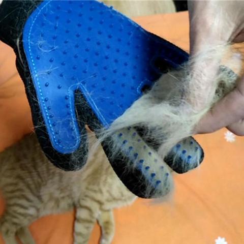 Best pet grooming glove for best sale cats