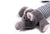 Plush Squeaky Dog Toys Dog Toys Best Pet Store 