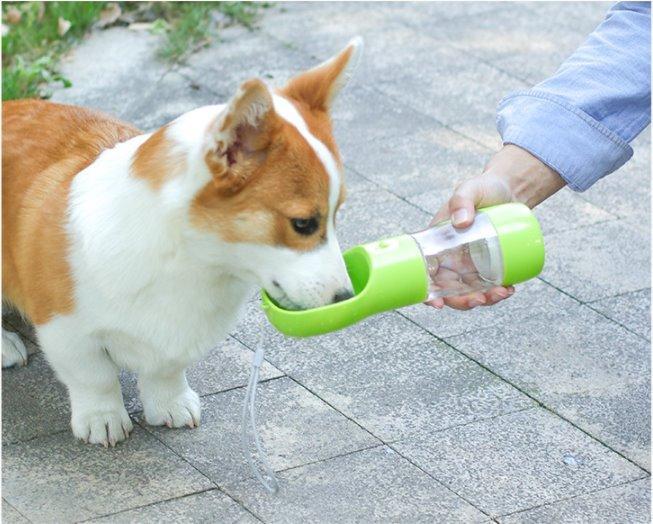 Pet water hot sale feeder bottle
