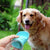Portable Pet Water Bottle 3 Colours! Pet Bowls, Feeders & Waterers Best Pet Store 