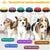 Recordable Dog Training Buttons Dog Toys Best Pet Store 