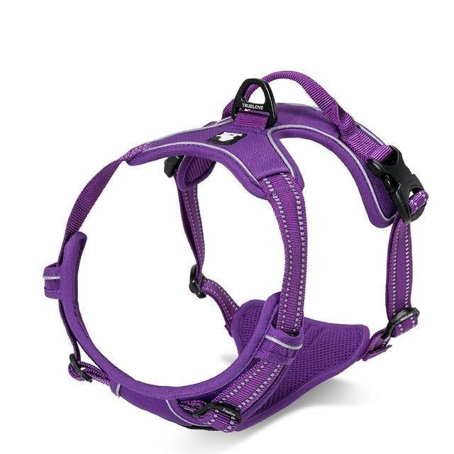 Front clip dog harness nz outlet