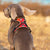 Reflective Heavy Duty Dog Leash Harness Pet Collars & Harnesses Best Pet Store 