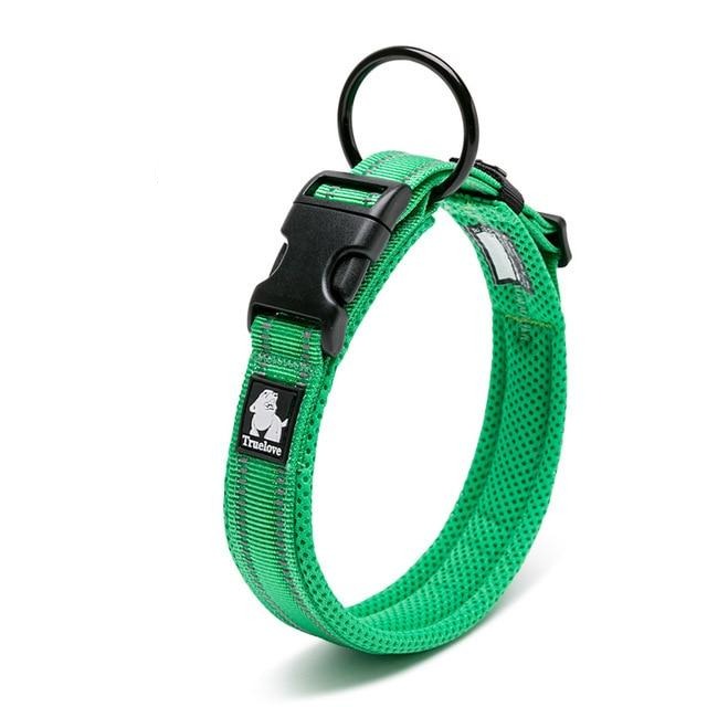 https://www.bestpetstore.co.nz/cdn/shop/files/reflective-mesh-padded-dog-collar-pet-collars-harnesses-best-pet-store-green-xx-small-477979_1200x.jpg?v=1706837165