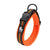 Reflective Mesh Padded Dog Collar Pet Collars & Harnesses Best Pet Store Orange XX Small 