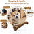 Tough Dog Bone Chew Toy Dog Toys BestPetStore 