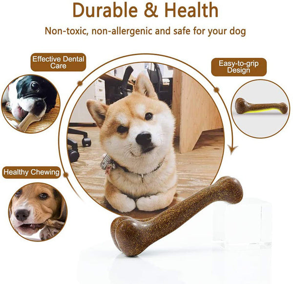 Best dog toys for dental health online