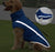 Waterproof Reflective Dog Coat Dog Apparel Best Pet Store 