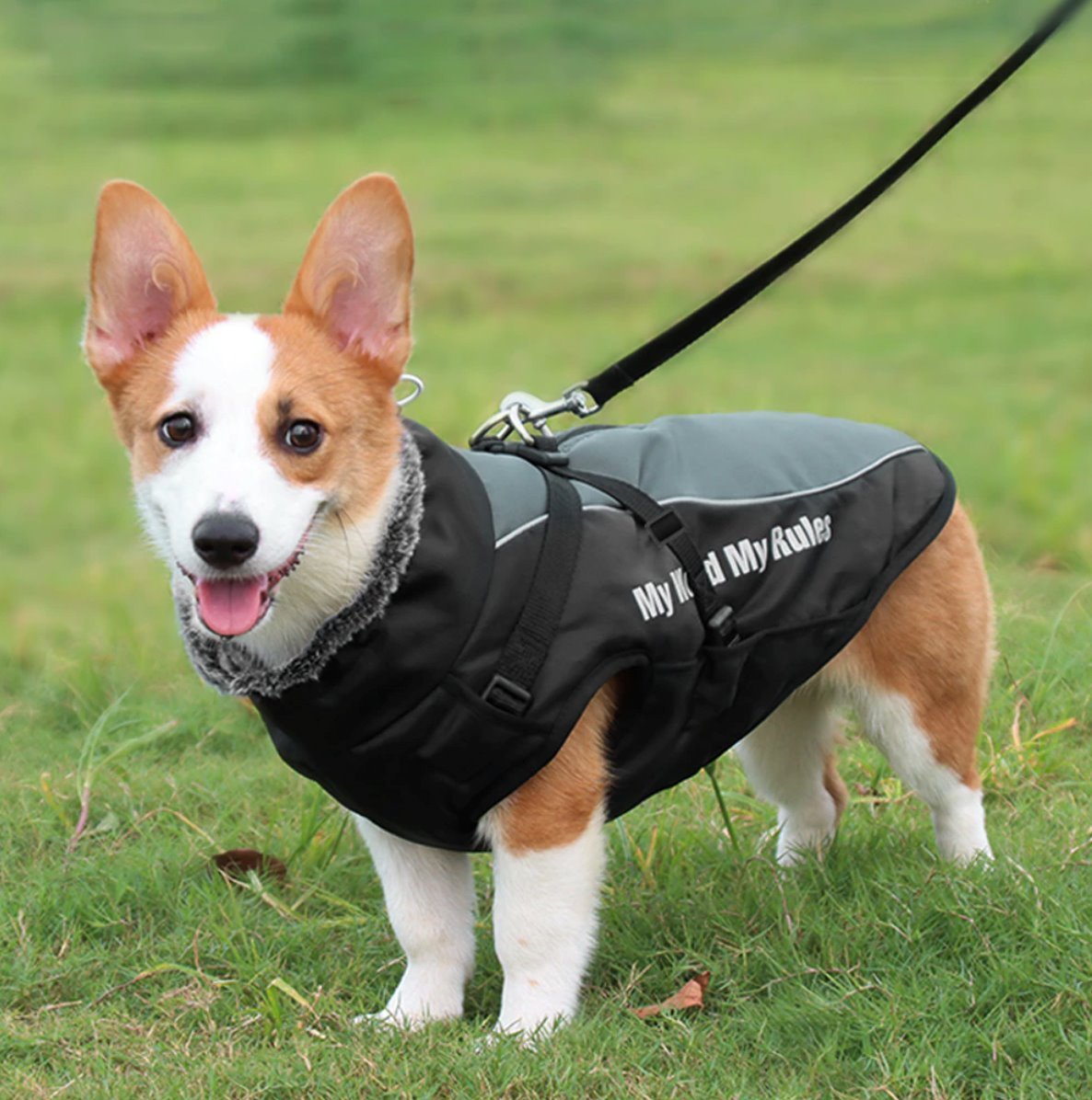 Waterproof Winter Thick Dog Coat With Harness Dog Apparel Best Pet Store 