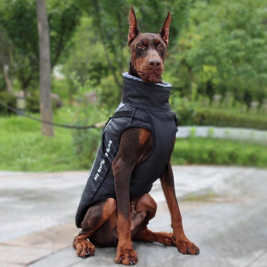 Waterproof Winter Thick Dog Coat With Harness Best Pet Store